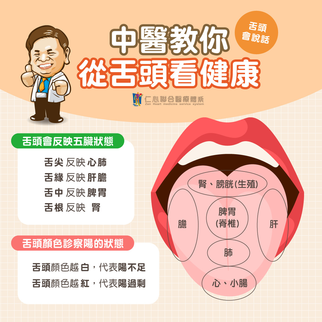 中醫認為,舌頭能反映身體健康狀況,舌頭不同部位對應著五臟的狀態:舌尖反映心肺,舌緣反映肝膽,舌中反映脾胃,舌根反映腎。舌頭的顏色也能診斷陽氣情況,顏色越白代表陽氣不足,顏色越紅則可能是陽氣過剩。觀察舌頭變化,有助於及早發現健康問題,進行針對性的調理和改善。